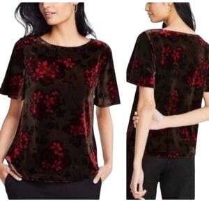 Ann Taylor Crocus Brown Pink Floral Velvet Velour Short Flutter Sleeve Top Sz S